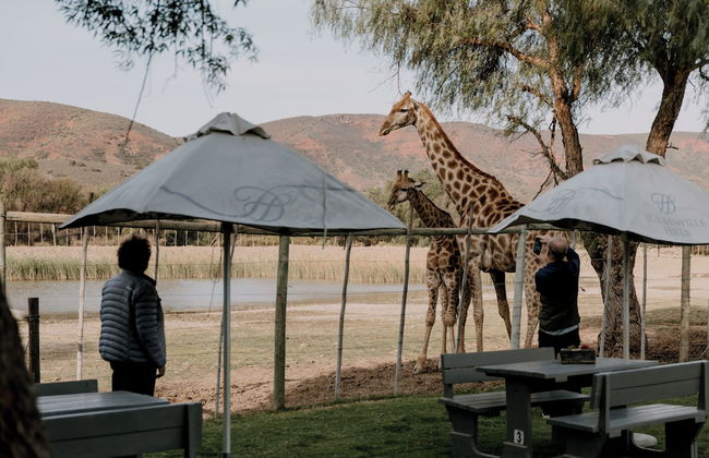 Chandelier Game Lodge - Foto 49