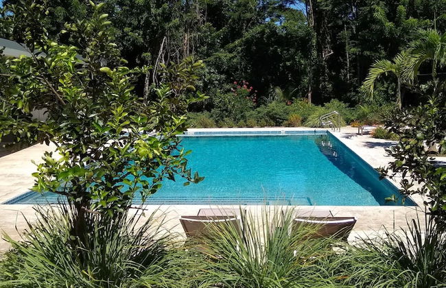Palm Beach Inn - Foto 13