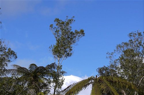 Photo 38 - Franz Josef Treetops