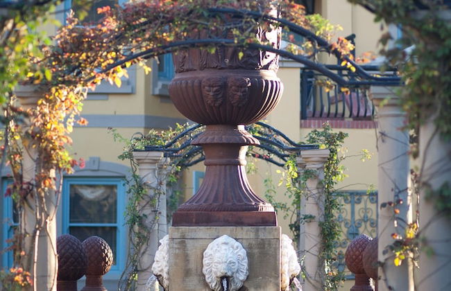 Franschhoek Country House and Villas - Foto 71