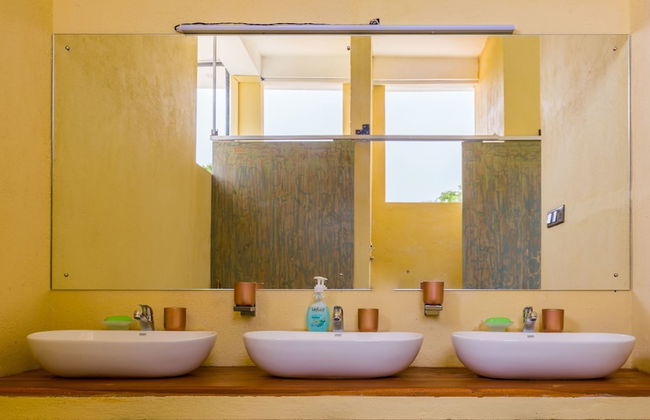 Forestville Yala - Foto 14