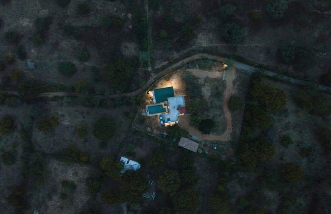 Forestville Yala - Foto 33