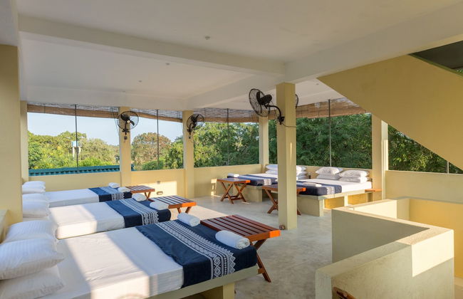 Forestville Yala - Foto 8