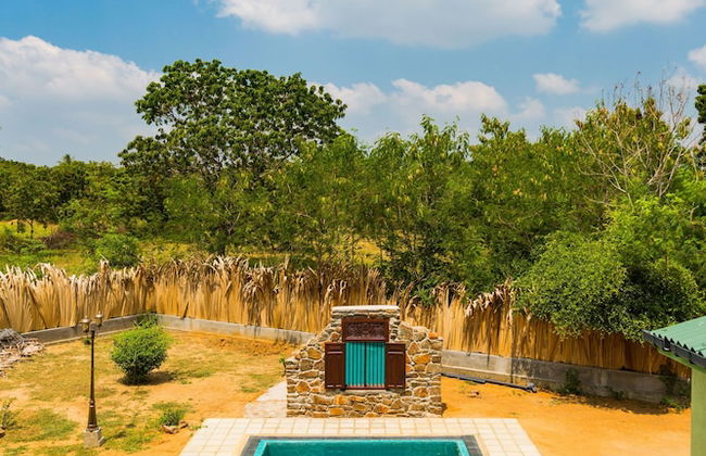 Forestville Yala - Foto 11