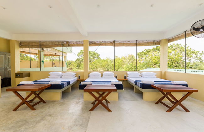 Forestville Yala - Foto 4