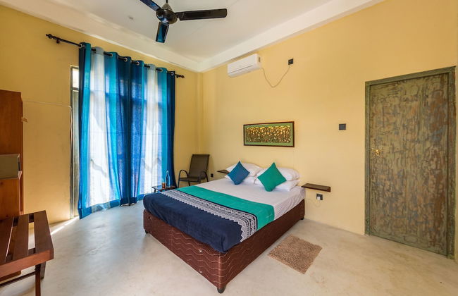 Forestville Yala - Foto 2