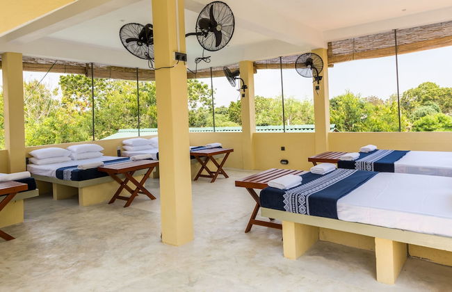 Forestville Yala - Foto 9