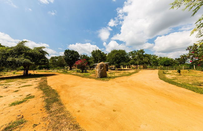 Forestville Yala - Foto 29