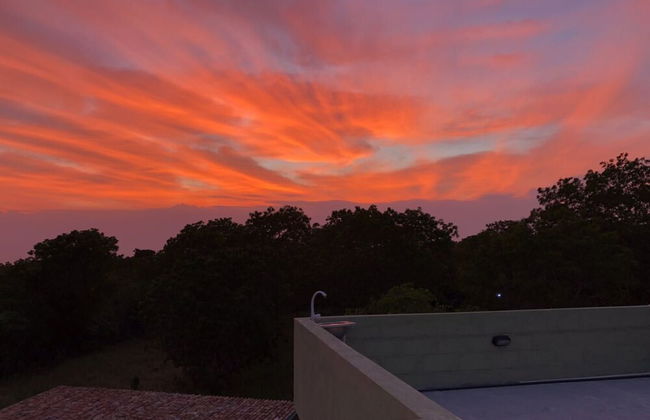 Forestville Yala - Foto 35