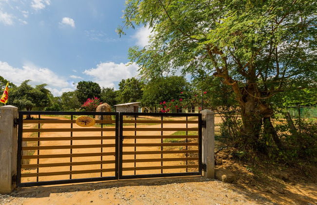 Forestville Yala - Foto 31