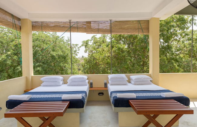 Forestville Yala - Foto 5