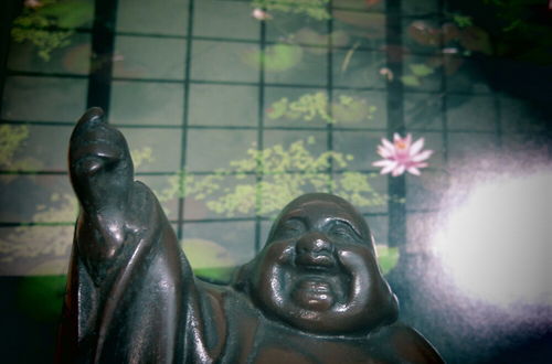 Foto 36 - Jizo House