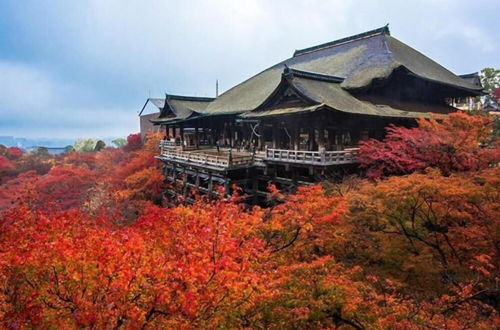 Photo 49 - Jizo House