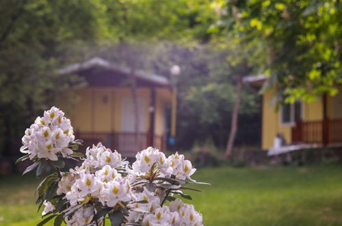 Photo 15 - Welcoming Bungalow in Petrich