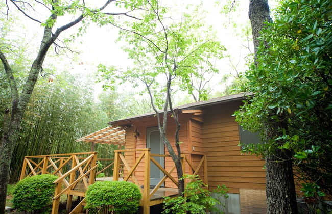 Yufuin Tsukahara Kogen Sanso Donguri - Foto 60
