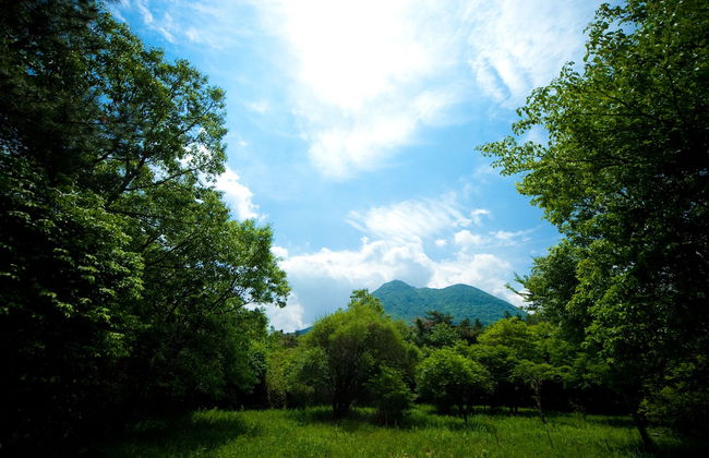 Yufuin Tsukahara Kogen Sanso Donguri - Foto 65