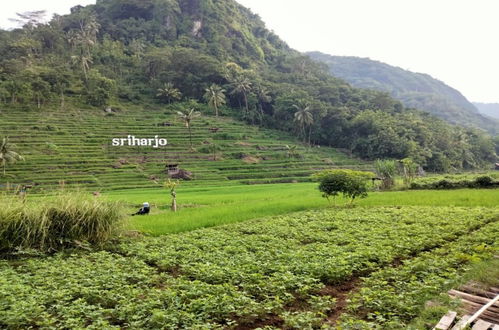 Photo 18 - HOMESTAY MBAH POMO SRIHARJO