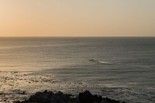 Photo 23 - The Lookout at Whale Cove