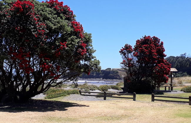 Opunake Beach Kiwi Holiday Park - Foto 1