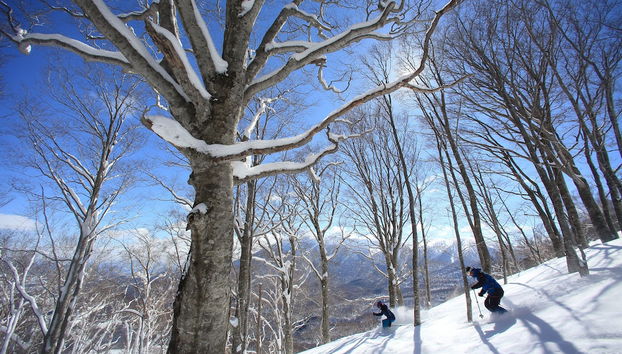 Wintersport/Ski