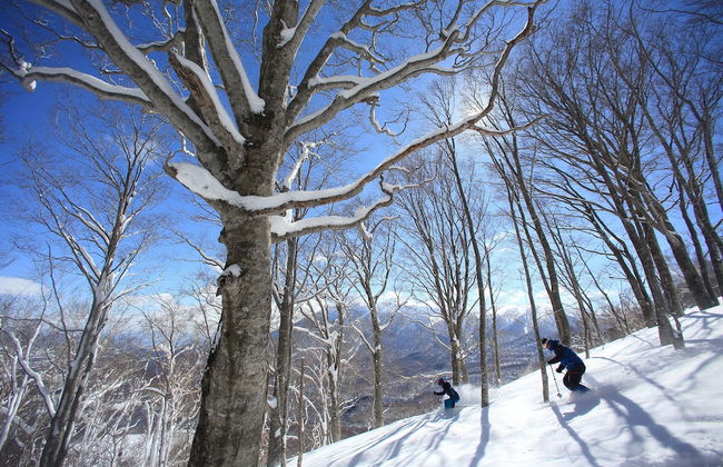 Yakehashiri Cabin Village - Foto 4