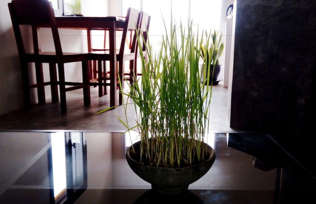 Luang Prabang Serviced Apartment - Foto 15