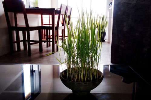 Photo 15 - Luang Prabang Serviced Apartment