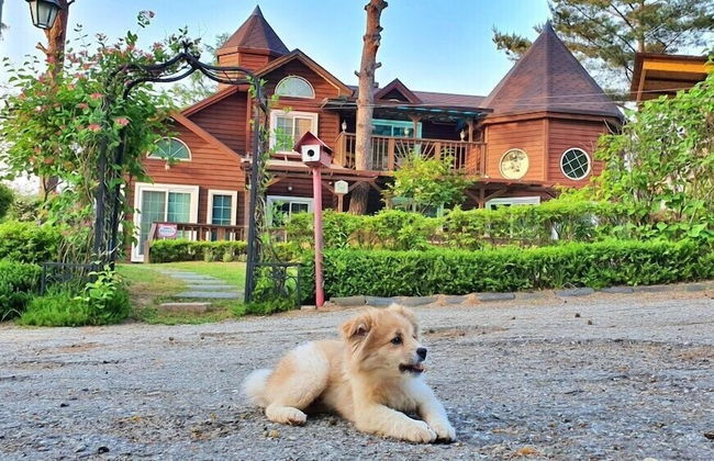 Castel on the hill pension - Photo 56