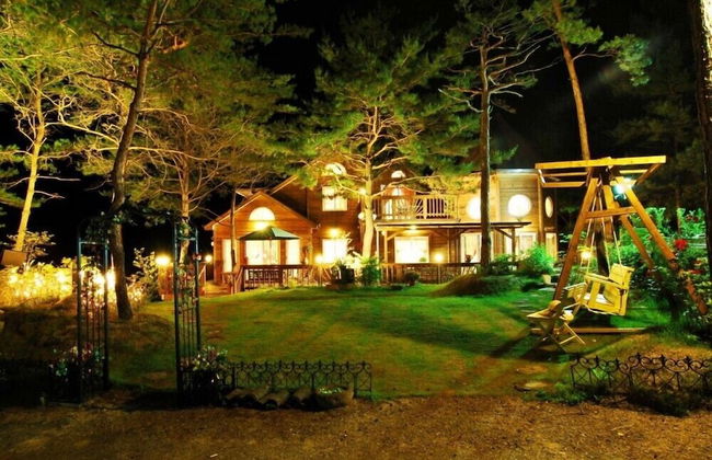 Castel on the hill pension - Photo 58