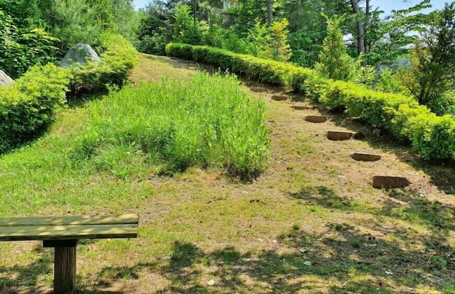 Castel on the hill pension - Photo 53