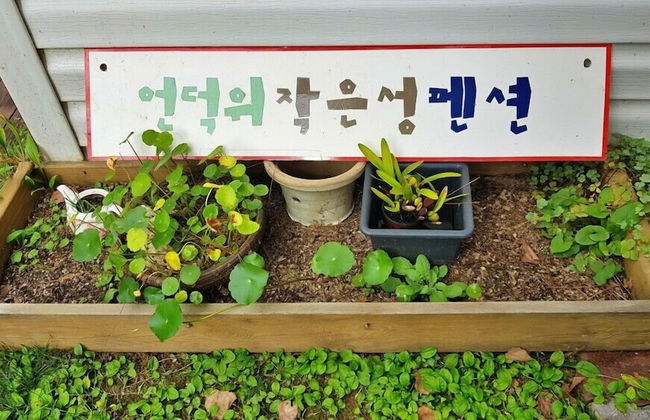 Castel on the hill pension - Photo 51