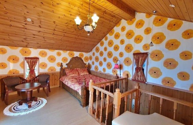 Castel on the hill pension - Photo 11