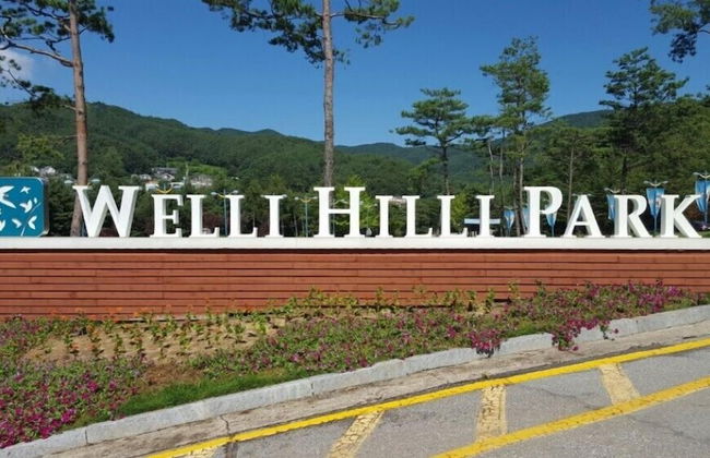 Castel on the hill pension - Photo 52