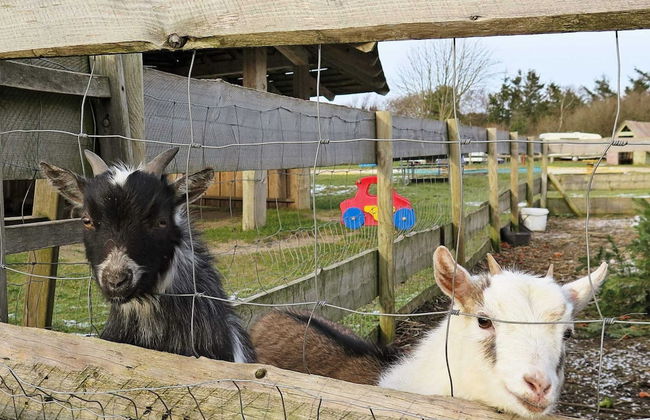 4 Person Holiday Home in Struer - Foto 29