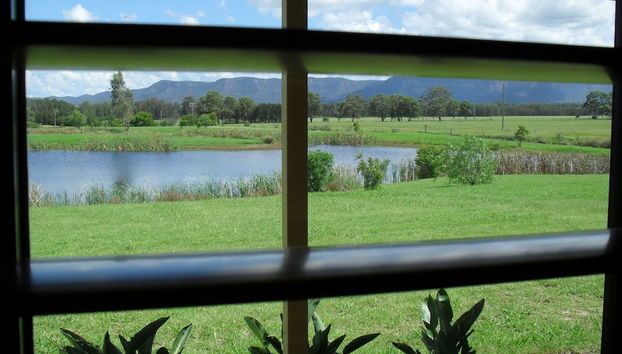 Vistas desde la habitación