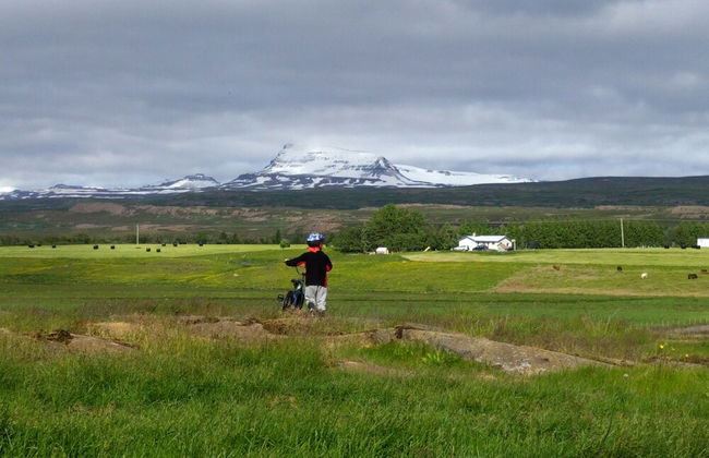 Hjartarstadir Guesthouse - Foto 31