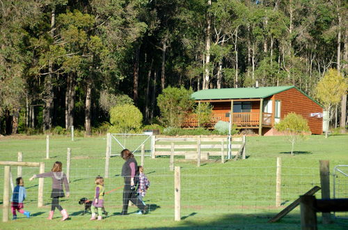 Photo 29 - Diamond Forest Farm Stay