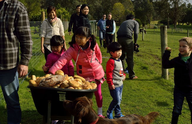 Diamond Forest Farm Stay - Foto 22