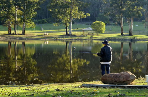 Photo 43 - Diamond Forest Farm Stay