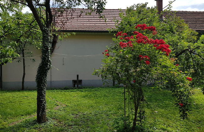 Villa Coola - Foto 37