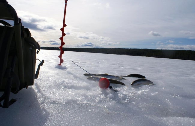 Finnskogen Turistsenter - Foto 19