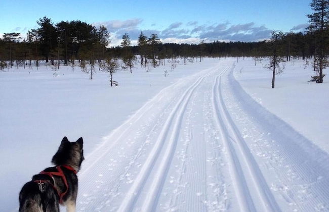 Finnskogen Turistsenter - Foto 18