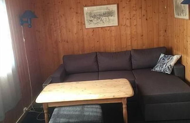 Finnskogen Turistsenter - Foto 11