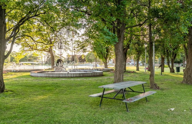 Rideau King 1Br Apartment Free Parking - Photo 46