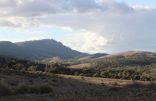 Pichi Richi Park - Foto 10