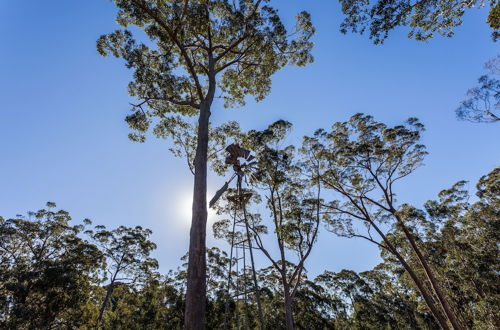 Photo 34 - Worrowing Jervis Bay