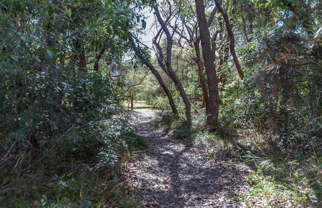 Worrowing Jervis Bay - Foto 69