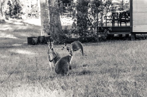 Foto 43 - Worrowing Jervis Bay