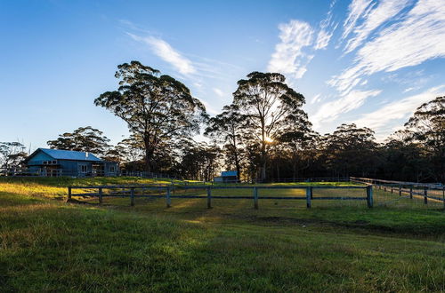 Photo 59 - Worrowing Jervis Bay