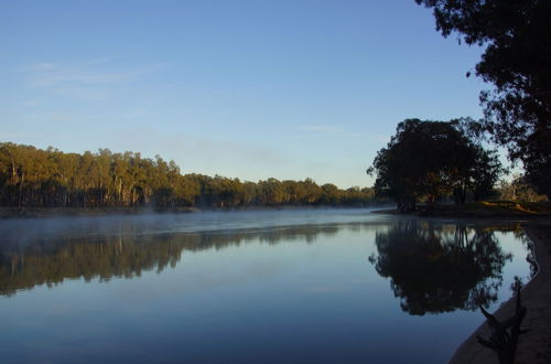 Photo 49 - Ingenia Holidays Murray Bend